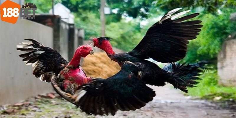 Cách thức tính thời gian và xác định kết quả