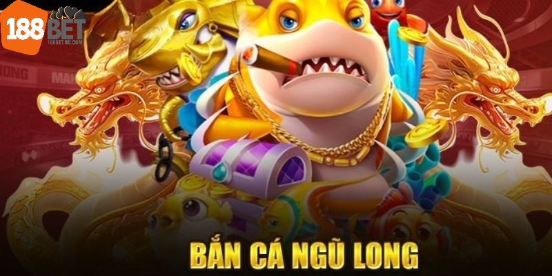Những sinh vật kỳ bí trong săn cá Ngũ Long
