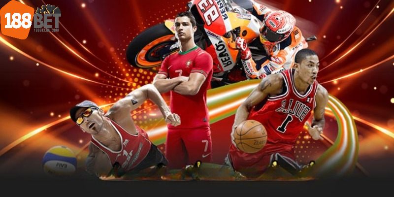 Tổng quan sơ lược về ICF Sport 188Bet